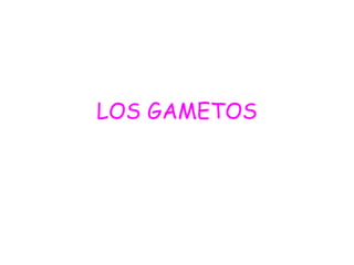 LOS GAMETOS
 