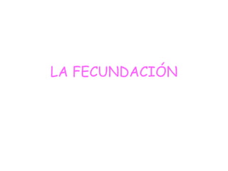 LA FECUNDACIÓN
 
