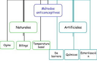 Métodos
anticonceptivos
Naturales Artificiales
Ogino
Temperatura
basal
Billings
De
barrera
Esterilizació
n
Químicos
 