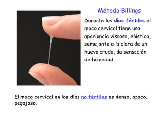 Durante los días fértiles el
moco cervical tiene una
apariencia viscosa, elástico,
semejante a la clara de un
huevo cruda, da sensación
de humedad.
Método Billings
El moco cervical en los días no fértiles es denso, opaco,
pegajoso.
 