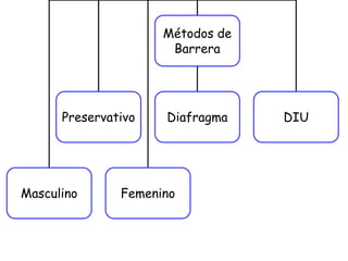 Métodos de
Barrera
Preservativo Diafragma DIU
Masculino Femenino
 