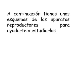 A continuación tienes unos
esquemas de los aparatos
reproductores para
ayudarte a estudiarlos
 