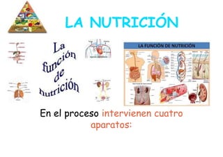 LA NUTRICIÓN




En el proceso intervienen cuatro
           aparatos:
 