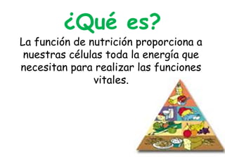 ¿Qué es?
La función de nutrición proporciona a
 nuestras células toda la energía que
necesitan para realizar las funciones...