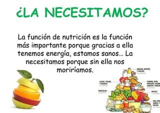 ¿LA NECESITAMOS?
La función de nutrición es la función
más importante porque gracias a ella
tenemos energía, estamos sanos...