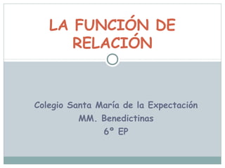 LA FUNCIÓN DE
      RELACIÓN



Colegio Santa María de la Expectación
          MM. Benedictinas
               6º EP
 