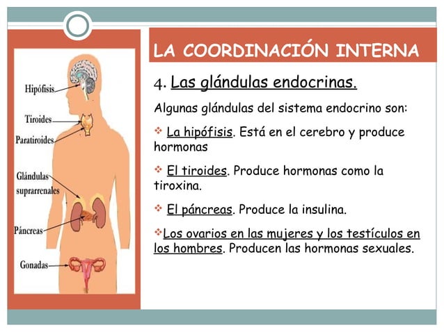 La funcion de relación | PPT
