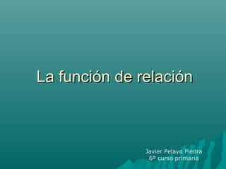 La función de relaciónLa función de relación
Javier Pelayo Piedra
6º curso primaria
 