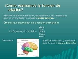 ¿Cómo realizamos la función de¿Cómo realizamos la función de
relación?relación?
Mediante la función de relación, respondem...