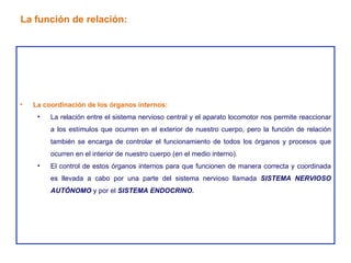 La coordinación de los órganos internos: La relación entre el sistema nervioso central y el aparato locomotor nos permite reaccionar a los estímulos que ocurren en el exterior de nuestro cuerpo, pero la función de relación también se encarga de controlar el funcionamiento de todos los órganos y procesos que ocurren en el interior de nuestro cuerpo (en el medio interno). El control de estos órganos internos para que funcionen de manera correcta y coordinada es llevada a cabo por una parte del sistema nervioso llamada  SISTEMA NERVIOSO AUTÓNOMO  y por el  SISTEMA ENDOCRINO. La función de relación: 