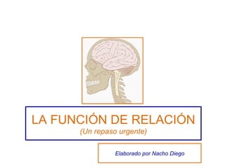 LA FUNCIÓN DE RELACIÓN (Un repaso urgente) Elaborado por Nacho Diego 