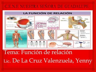 Tema: Función de relación
Lic. De La Cruz Valenzuela, Yenny

 