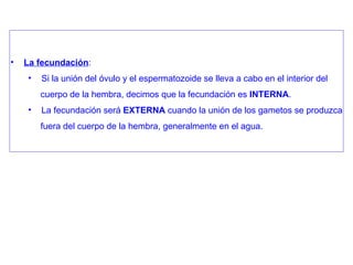 La fecundación : Si la unión del óvulo y el espermatozoide se lleva a cabo en el interior del cuerpo de la hembra, decimos que la fecundación es  INTERNA . La fecundación será  EXTERNA  cuando la unión de los gametos se produzca fuera del cuerpo de la hembra, generalmente en el agua. 