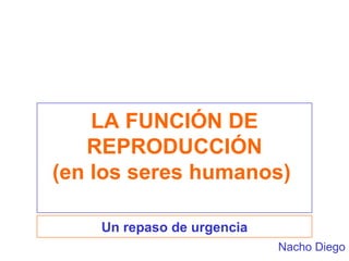 LA FUNCIÓN DE REPRODUCCIÓN (en los seres humanos)  Un repaso de urgencia Nacho Diego 