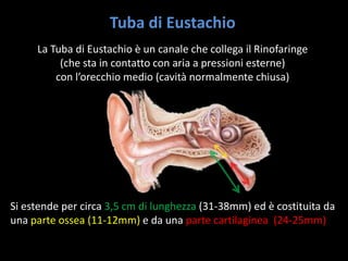 la-funzione-nasale-e-tubarica-pptx
