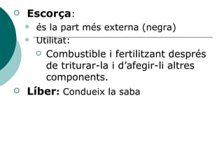 Escorça :  és la part més externa (negra) Utilitat: Combustible i fertilitzant després de triturar-la i d’afegir-li altres components. Líber :  Condueix la saba 