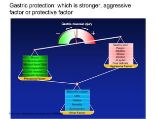 Gastric protection: which is stronger, aggressive
factor or protective factor
http://cdn.intechopen.com/pdfs-wm/19866.pdf
 