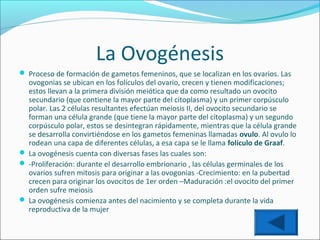 La Ovogénesis
 Proceso de formación de gametos femeninos, que se localizan en los ovarios. Las

ovogonias se ubican en los folículos del ovario, crecen y tienen modificaciones;
estos llevan a la primera división meiótica que da como resultado un ovocito
secundario (que contiene la mayor parte del citoplasma) y un primer corpúsculo
polar. Las 2 células resultantes efectúan meiosis II, del ovocito secundario se
forman una célula grande (que tiene la mayor parte del citoplasma) y un segundo
corpúsculo polar, estos se desintegran rápidamente, mientras que la célula grande
se desarrolla convirtiéndose en los gametos femeninas llamadas ovulo. Al ovulo lo
rodean una capa de diferentes células, a esa capa se le llama folículo de Graaf.
 La ovogénesis cuenta con diversas fases las cuales son:
 -Proliferación: durante el desarrollo embrionario , las células germinales de los
ovarios sufren mitosis para originar a las ovogonias -Crecimiento: en la pubertad
crecen para originar los ovocitos de 1er orden –Maduración :el ovocito del primer
orden sufre meiosis
 La ovogénesis comienza antes del nacimiento y se completa durante la vida
reproductiva de la mujer

 