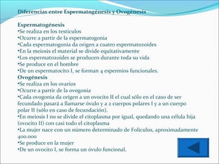 Diferencias entre Espermatogénesis y Ovogénesis
Espermatogénesis
•Se realiza en los testículos
•Ocurre a partir de la espermatogonia
•Cada espermatogonia da origen a cuatro espermatozoides
•En la meiosis el material se divide equitativamente
•Los espermatozoides se producen durante toda su vida
•Se produce en el hombre
•De un espermatocito I, se forman 4 espermios funcionales.
Ovogénesis
•Se realiza en los ovarios
•Ocurre a partir de la ovogonia
•Cada ovogonia da origen a un ovocito II el cual sólo en el caso de ser
fecundado pasará a llamarse óvulo y a 2 cuerpos polares I y a un cuerpo
polar II (sólo en caso de fecundación).
•En meiosis I no se divide el citoplasma por igual, quedando una célula hija
(ovocito II) con casi todo el citoplasma
•La mujer nace con un número determinado de Folículos, aproximadamente
400.000
•Se produce en la mujer
•De un ovocito I, se forma un óvulo funcional.

 