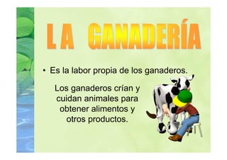 • Es la labor propia de los ganaderos.

   Los ganaderos crían y
   cuidan animales para
    obtener alimentos y
      otros productos.
 