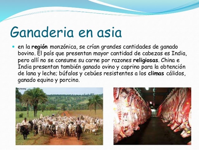 La ganadería en el mundo