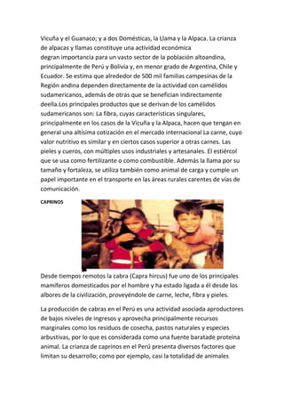 Vicuña y el Guanaco; y a dos Domésticas, la Llama y la Alpaca. La crianza
de alpacas y llamas constituye una actividad económica
degran importancia para un vasto sector de la población altoandina,
principalmente de Perú y Bolivia y, en menor grado de Argentina, Chile y
Ecuador. Se estima que alrededor de 500 mil familias campesinas de la
Región andina dependen directamente de la actividad con camélidos
sudamericanos, además de otras que se benefician indirectamente
deella.Los principales productos que se derivan de los camélidos
sudamericanos son: La fibra, cuyas características singulares,
principalmente en los casos de la Vicuña y la Alpaca, hacen que tengan en
general una altísima cotización en el mercado internacional La carne, cuyo
valor nutritivo es similar y en ciertos casos superior a otras carnes. Las
pieles y cueros, con múltiples usos industriales y artesanales. El estiércol
que se usa como fertilizante o como combustible. Además la llama por su
tamaño y fortaleza, se utiliza también como animal de carga y cumple un
papel importante en el transporte en las áreas rurales carentes de vías de
comunicación.
CAPRINOS




Desde tiempos remotos la cabra (Capra hircus) fue uno de los principales
mamíferos domesticados por el hombre y ha estado ligada a él desde los
albores de la civilización, proveyéndole de carne, leche, fibra y pieles.

La producción de cabras en el Perú es una actividad asociada aproductores
de bajos niveles de ingresos y aprovecha principalmente recursos
marginales como los residuos de cosecha, pastos naturales y especies
arbustivas, por lo que es considerada como una fuente baratade proteína
animal. La crianza de caprinos en el Perú presenta diversos factores que
limitan su desarrollo; como por ejemplo, casi la totalidad de animales
 
