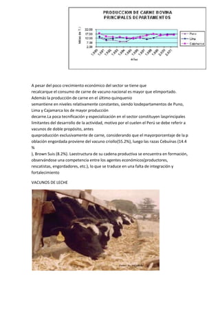 A pesar del poco crecimiento económico del sector se tiene que
recalcarque el consumo de carne de vacuno nacional es mayor que elimportado.
Además la producción de carne en el último quinquenio
semantiene en niveles relativamente constantes, siendo losdepartamentos de Puno,
Lima y Cajamarca los de mayor producción
decarne.La poca tecnificación y especialización en el sector constituyen lasprincipales
limitantes del desarrollo de la actividad, motivo por el cuelen el Perú se debe referir a
vacunos de doble propósito, antes
queproducción exclusivamente de carne, considerando que el mayorporcentaje de la p
oblación engordada proviene del vacuno criollo(55.2%), luego las razas Cebuínas (14.4
%
), Brown Suis (8.2%). Laestructura de su cadena productiva se encuentra en formación,
observándose una competencia entre los agentes económicos(productores,
rescatistas, engordadores, etc.), lo que se traduce en una falta de integración y
fortalecimiento

VACUNOS DE LECHE
 