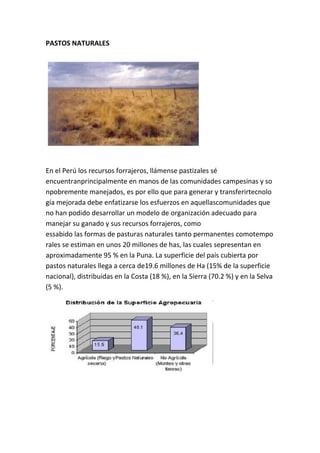 PASTOS NATURALES




En el Perú los recursos forrajeros, llámense pastizales sé
encuentranprincipalmente en manos de las comunidades campesinas y so
npobremente manejados, es por ello que para generar y transferirtecnolo
gía mejorada debe enfatizarse los esfuerzos en aquellascomunidades que
no han podido desarrollar un modelo de organización adecuado para
manejar su ganado y sus recursos forrajeros, como
essabido las formas de pasturas naturales tanto permanentes comotempo
rales se estiman en unos 20 millones de has, las cuales sepresentan en
aproximadamente 95 % en la Puna. La superficie del país cubierta por
pastos naturales llega a cerca de19.6 millones de Ha (15% de la superficie
nacional), distribuidas en la Costa (18 %), en la Sierra (70.2 %) y en la Selva
(5 %).
 