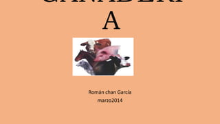 GANADERI
A
Román chan García
marzo2014
 