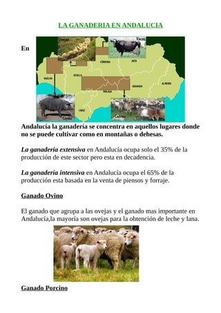 LA GANADERIA EN ANDALUCIA
En
Andalucía la ganadería se concentra en aquellos lugares donde
no se puede cultivar como en montañas o dehesas.
La ganadería extensiva en Andalucía ocupa solo el 35% de la
producción de este sector pero esta en decadencia.
La ganadería intensiva en Andalucía ocupa el 65% de la
producción esta basada en la venta de piensos y forraje.
Ganado Ovino
El ganado que agrupa a las ovejas y el ganado mas importante en
Andalucía,la mayoría son ovejas para la obtención de leche y lana.
Ganado Porcino
 