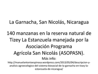 La Garnacha, San Nicolás, Nicaragua
140 manzanas en la reserva natural de
Tizey La Estanzuela manejada por la
Asociación Programa
Agrícola San Nicolás (ASOPASN).
Más info:
http://manuelantonioespinosa.wordpress.com/2013/05/04/descripcion-y-
analisis-agroecologico-del-sistema-biosocial-de-la-garnacha-en-tisey-la-
estanzuela-de-nicaragua/
 