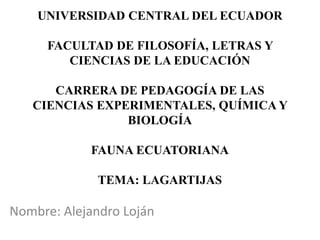 UNIVERSIDAD CENTRAL DEL ECUADOR
FACULTAD DE FILOSOFÍA, LETRAS Y
CIENCIAS DE LA EDUCACIÓN
CARRERA DE PEDAGOGÍA DE LAS
CIENCIAS EXPERIMENTALES, QUÍMICA Y
BIOLOGÍA
FAUNA ECUATORIANA
TEMA: LAGARTIJAS
Nombre: Alejandro Loján
 
