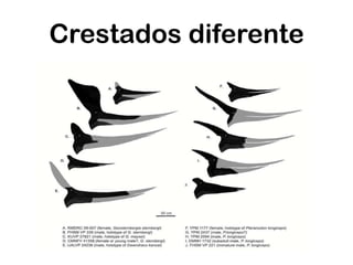 Crestados diferente
