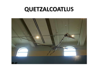 QUETZALCOATLUS