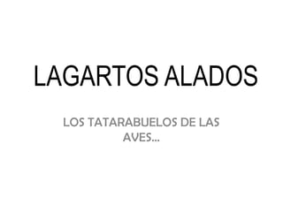 LAGARTOS ALADOS
 LOS TATARABUELOS DE LAS
          AVES…
 