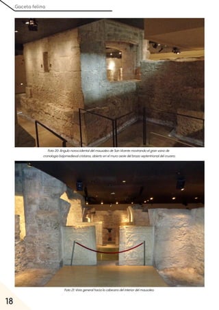Gaceta felina
18
Foto20:ÁngulonoroccidentaldelmausoleodeSanVicentemostrandoelgranvanode
cronologíabajomedievalcristiana, abiertoenelmurooestedelbrazoseptentrionaldelcrucero.
Foto21:Vistageneralhacialacabeceradelinteriordelmausoleo.
 