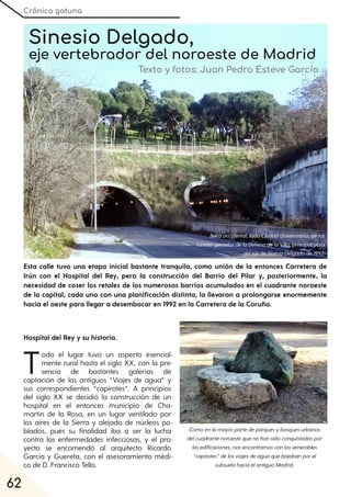 Crónica gatuna
62
Sinesio Delgado,
eje vertebrador del noroeste de Madrid
Texto y fotos: Juan Pedro Esteve García
Esta calle tuvo una etapa inicial bastante tranquila, como unión de la entonces Carretera de
Irún con el Hospital del Rey, pero la construcción del Barrio del Pilar y, posteriormente, la
necesidad de coser los retales de los numerosos barrios acumulados en el cuadrante noroeste
de la capital, cada uno con una planificación distinta, la llevaron a prolongarse enormemente
hacia el oeste para llegar a desembocar en 1992 en la Carretera de la Coruña.
Hospital del Rey y su historia.
Todo el lugar tuvo un aspecto esencial-
mente rural hasta el siglo XX, con la pre-
sencia de bastantes galerías de
captación de los antiguos “Viajes de agua” y
sus correspondientes “capirotes”. A principios
del siglo XX se decidió la construcción de un
hospital en el entonces municipio de Cha-
martín de la Rosa, en un lugar ventilado por
los aires de la Sierra y alejado de núcleos po-
blados, pues su finalidad iba a ser la lucha
contra las enfermedades infecciosas, y el pro-
yecto se encomendó al arquitecto Ricardo
García y Guereta, con el asesoramiento médi-
co de D. Francisco Tello.
Comoenlamayorpartedeparquesybosquesurbanos
delcuadrantenoroestequenohansidoconquistadospor
lasedificaciones, nosencontramosconlosvenerables
“capirotes”delosviajesdeaguaquebajabanporel
subsuelohaciaelantiguoMadrid.
Bocaoccidental, ladoCiudadUniversitaria, delos
túnelesgemelosdelaDehesadelaVilla, principalobra
delejedeSinesioDelgadode1992.
 
