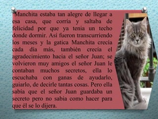 Manchita estaba tan alegre de llegar a
esa casa, que corría y saltaba de
felicidad por que ya tenia un techo
donde dormir. Así fueron transcurriendo
los meses y la gatica Manchita crecía
cada día más, también crecía el
agradecimiento hacia el señor Juan; se
volvieron muy amigos el señor Juan le
contaban muchos secretos, ella lo
escuchaba con ganas de ayudarlo,
guiarlo, de decirle tantas cosas. Pero ella
sabía que el señor Juan guardaba un
secreto pero no sabia como hacer para
que él se lo dijera.
 