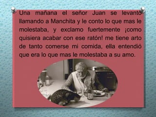 O Una mañana el señor Juan se levantó
 llamando a Manchita y le conto lo que mas le
 molestaba, y exclamo fuertemente ¡como
 quisiera acabar con ese ratón! me tiene arto
 de tanto comerse mi comida, ella entendió
 que era lo que mas le molestaba a su amo.
 