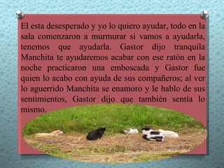El esta desesperado y yo lo quiero ayudar, todo en la
sala comenzaron a murmurar si vamos a ayudarla,
tenemos que ayudarla. Gastor dijo tranquila
Manchita te ayudaremos acabar con ese ratón en la
noche practicaron una emboscada y Gastor fue
quien lo acabo con ayuda de sus compañeros; al ver
lo aguerrido Manchita se enamoro y le hablo de sus
sentimientos, Gastor dijo que también sentía lo
mismo.
 