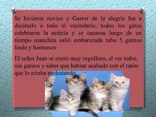 Se hicieron novios y Gastor de la alegría fue a
decírselo a todo el vecindario, todos los gatos
celebraron la noticia y se casaron luego de un
tiempo manchita salió embarazada tubo 5 gatitos
lindo y hermosos
El señor Juan se sintió muy orgulloso, al ver todos
sus gatitos y saber que habían acabado con el ratón
que lo estaba molestando.
 