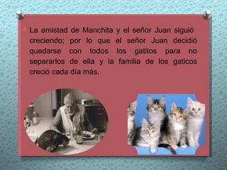 O La amistad de Manchita y el señor Juan siguió
 creciendo; por lo que el señor Juan decidió
 quedarse con todos los gatitos para no
 separarlos de ella y la familia de los gaticos
 creció cada día más.
 