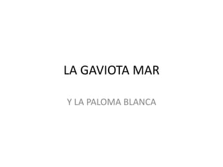LA GAVIOTA MAR
Y LA PALOMA BLANCA
 