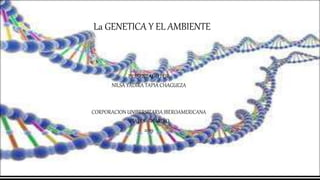 La GENETICA Y EL AMBIENTE
PRESENTADO POR
NILSA YADIRA TAPIA CHAGUEZA
CORPORACION UNIBERSITARIA IBEROAMERICANA
IPIALES – NARIÑO
2019
 