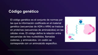 Código genético
El código genético es el conjunto de normas por
las que la información codificada en el material
genético (secuencias de ADN o ARN) se traduce
en proteínas (secuencias de aminoácidos) en las
células vivas. El código define la relación entre
secuencias de tres nucleótidos, llamadas
codones, y aminoácidos. Un codón se
corresponde con un aminoácido especifico.
 