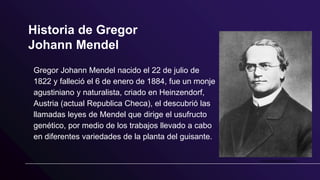 Historia de Gregor
Johann Mendel
Gregor Johann Mendel nacido el 22 de julio de
1822 y falleció el 6 de enero de 1884, fue un monje
agustiniano y naturalista, criado en Heinzendorf,
Austria (actual Republica Checa), el descubrió las
llamadas leyes de Mendel que dirige el usufructo
genético, por medio de los trabajos llevado a cabo
en diferentes variedades de la planta del guisante.
 