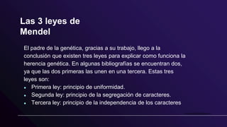 Las 3 leyes de
Mendel
El padre de la genética, gracias a su trabajo, llego a la
conclusión que existen tres leyes para explicar como funciona la
herencia genética. En algunas bibliografías se encuentran dos,
ya que las dos primeras las unen en una tercera. Estas tres
leyes son:
● Primera ley: principio de uniformidad.
● Segunda ley: principio de la segregación de caracteres.
● Tercera ley: principio de la independencia de los caracteres
 