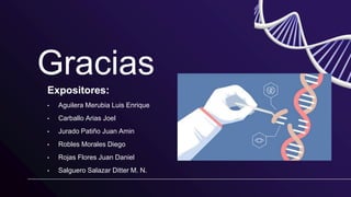 CREDITS: This presentation template was
created by Slidesgo, including icons by
Flaticon and infographics & images by
Freepik
Gracias
Expositores:
• Aguilera Merubia Luis Enrique
• Carballo Arias Joel
• Jurado Patiño Juan Amin
• Robles Morales Diego
• Rojas Flores Juan Daniel
• Salguero Salazar Ditter M. N.
Please keep this slide for attribution
 