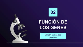 FUNCIÓN DE
LOS GENES
El ADN y el código
genético.
02
 
