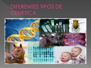 DIFERENTES TIPOS DE GENETICA